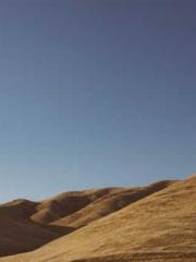 The wife wishes to b