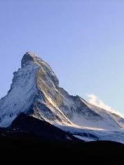 The Favorite Concubi