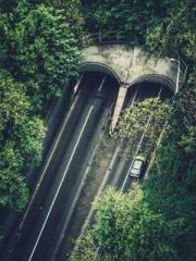 Unbound by any rules