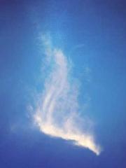 Eternal Sword Ancest