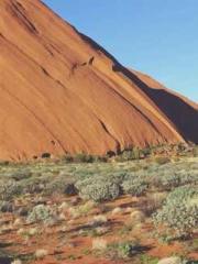 Bones-Eating Marriag