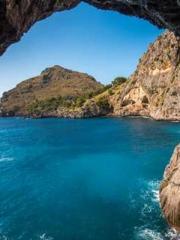 Rong Zhao Nanning Yu