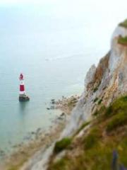 lt;Liang Yimo Cold N