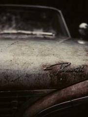 lt;gt;The son of a w