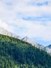 Become a big shot in