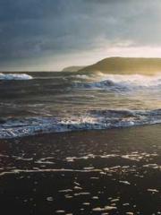 Rebirth of the Urban