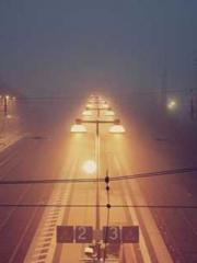 lt;Gingerly, Shen Qi