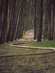 Rebirth in 1970: Eat