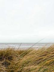 Professor Yan is goi