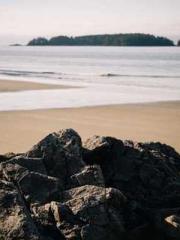 lt;Jingyuan Rong Sha