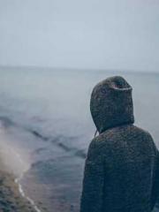 lt;lt;lt;Visionary S