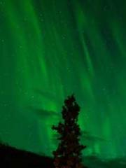 lt;Natural Disasters