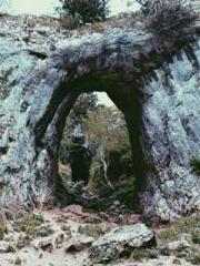 The young masterapos