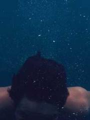 My pets are all amaz