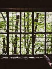 Rebirth of the Super