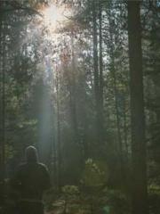 lt;Diga: From Jetton