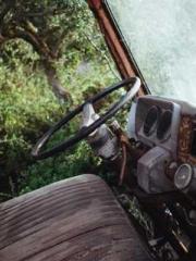 A Lifetime of Captiv