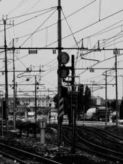 The Uncle Emperor Do