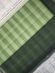 A Second Marriage Mo