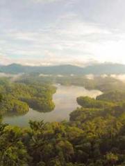 lt;Dragon King Legen