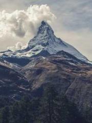 Cold-hearted Inkapos