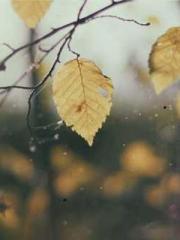 A Lifetime of Captiv